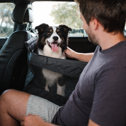 Single Dog Car Seat